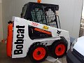 Bobcat